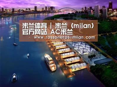 案例展示八