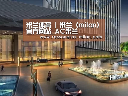 案例展示二